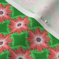 BYF1 - Bulls Eye Floral Polka Puffs in Coral and Green