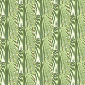 Cubist palm leaves