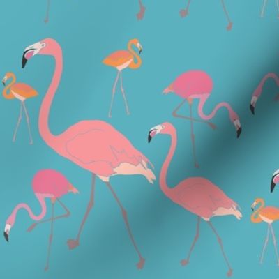 Flamingos