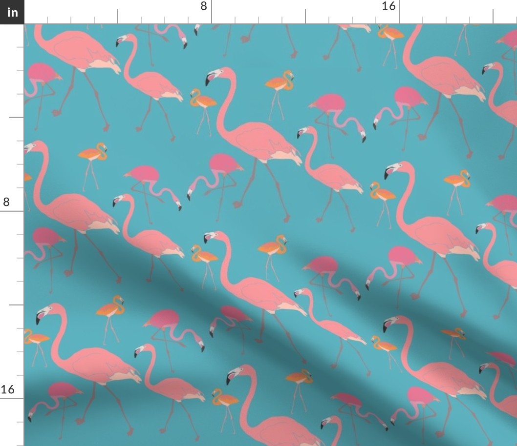 Flamingos