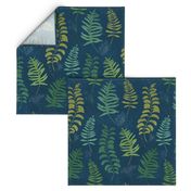 Ferns on blue