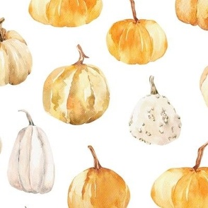 Large / Watercolor Pumpkins