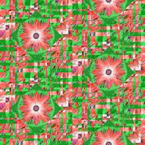 BYF1 - Bulls Eye Floral  Medallion on Scattered Contemporary Plaid in Coral and Green