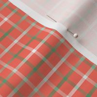 BYF1 - Disappearing Open Weave Window Pane Plaid  in Sage Gradient on Coral