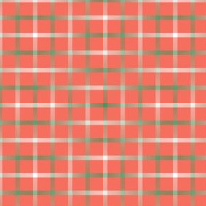 BYF1 - Disappearing Open Weave Window Pane Plaid  in Sage Gradient on Coral