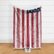 3 yard minky panel - American Flag