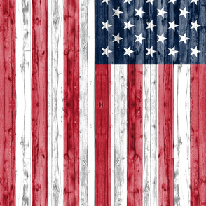 3 yard minky panel - American Flag
