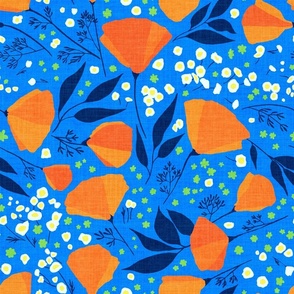 California Poppies in Orange on medium blue