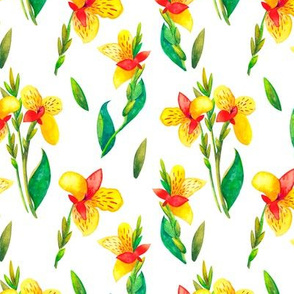 Seamless pattern watercolor drawing with yellow canna flowers on white