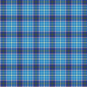 Texas bluebonnet tartan, 1.5" bright