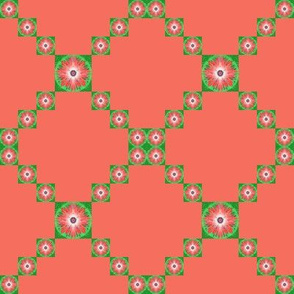 BYF1 - Small - Bull's Eye  Floral Polka Puff Trellis in Coral and Green