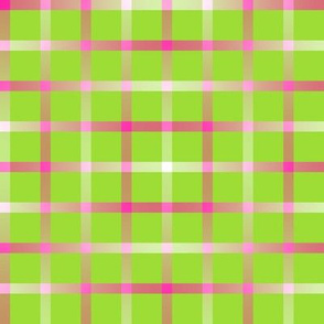 BYF2 - Contemporary Open Weave Window Pane Plaid in Gradient Pink on Lime Green 