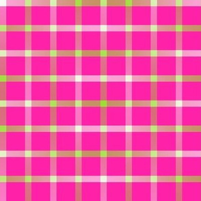 BYF2 -  Contemporary Open Weave Window Pane Plaid in Lime Green Gradient on Pink