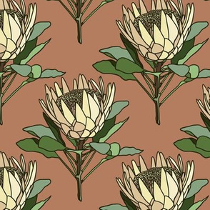 Proteas on terracotta- small