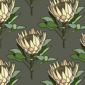 Proteas on grey - small