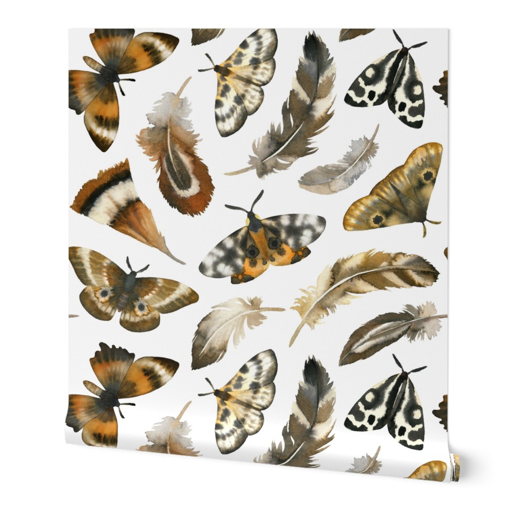 Large Scale / Feathers and Moths / White Background