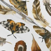 Large Scale / Feathers and Moths / White Background