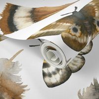 Large Scale / Feathers and Moths / White Background