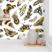 Large Scale / Feathers and Moths / White Background