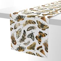 Large Scale / Feathers and Moths / White Background