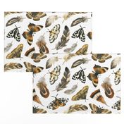 Large Scale / Feathers and Moths / White Background