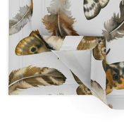 Large Scale / Feathers and Moths / White Background