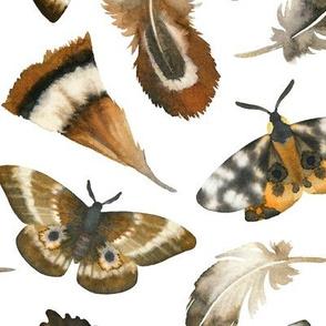 Large Scale / Feathers and Moths / White Background