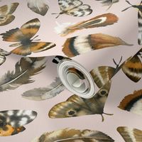 Large Scale / Feathers and Moths / Blush Background