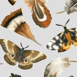 Large Scale / Feathers and Moths / Light Grey Background