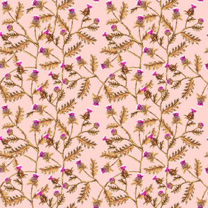 Thistle Brambles Bright Blush Pink // large