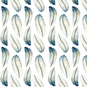 SWAN FEATHERS