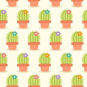 Cute Cacti w/ Colorful Blooms