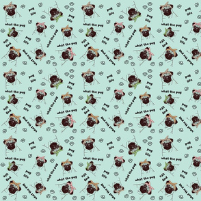What The Pug?! On Mint