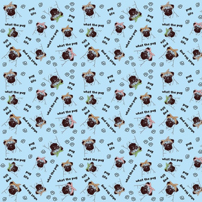 What The Pug?! On Blue