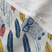 Owls and feathers