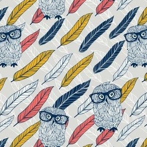 Owls and feathers