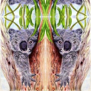 Koala in gum tree -mirrored