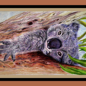 Koala Euki in the tree