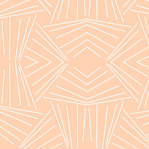 Minimal retro white fan lines on orange background