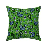 Green and Blue Paisley