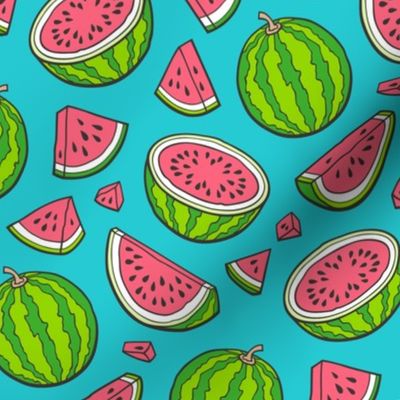 Watermelons Watermelon Fruits on Blue