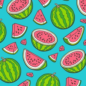 Watermelons Watermelon Fruits on Blue