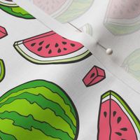 Watermelons Watermelon Fruits on White