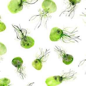 Olive green watercolor jellyfish