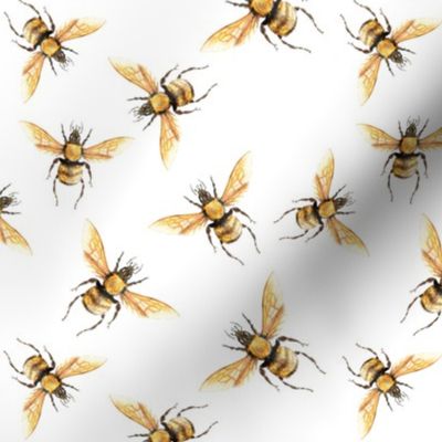 Honey Bee Golden v2  // large