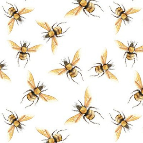 Honey Bee Golden v2  // large