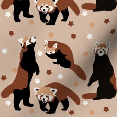 red pandas