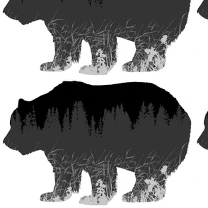 bear3