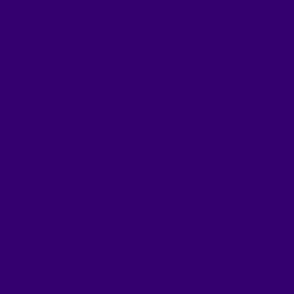 Purple Solid Hex code 33006F