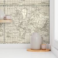 Taupe World Map